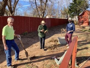 Daffodils bulb planting on the grounds of Arcadia Round Barn